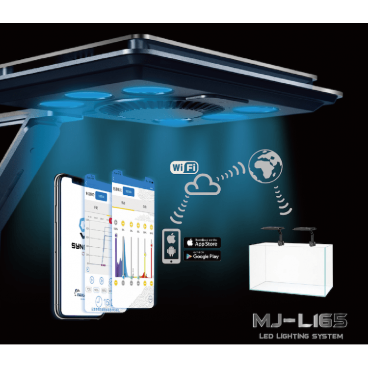 MJ-L165 - 2