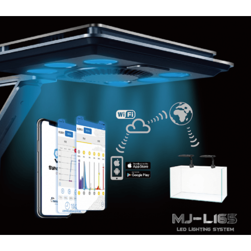 MJ-L165 - 2 MJ-L165 - 2