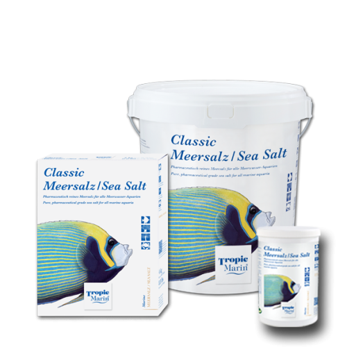 Sea Salt Classic - 1