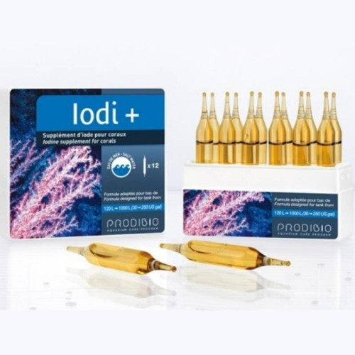 IODI+ - 1