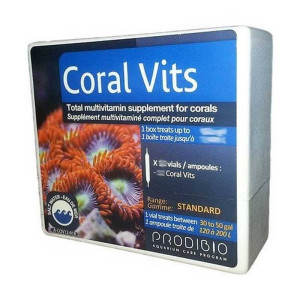 Coral Vits - 1
