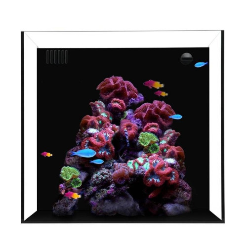 Waterbox Cube - 2