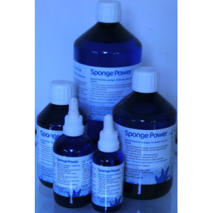 Sponge Power Concentrate - 1