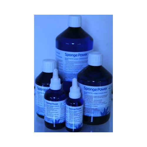 Sponge Power Concentrate - 1