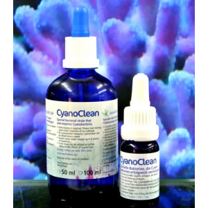 Cyano Clean - 1