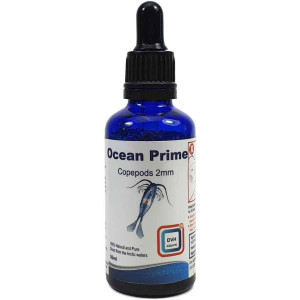 Ocean Prime Copepods (2 mm.) - 1