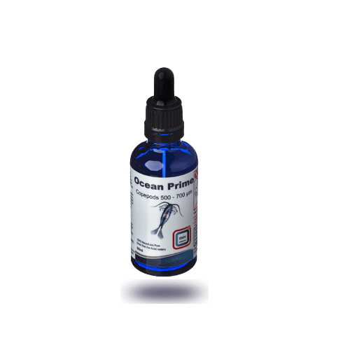 Ocean Prime Copepods (500/700 micras) - 1