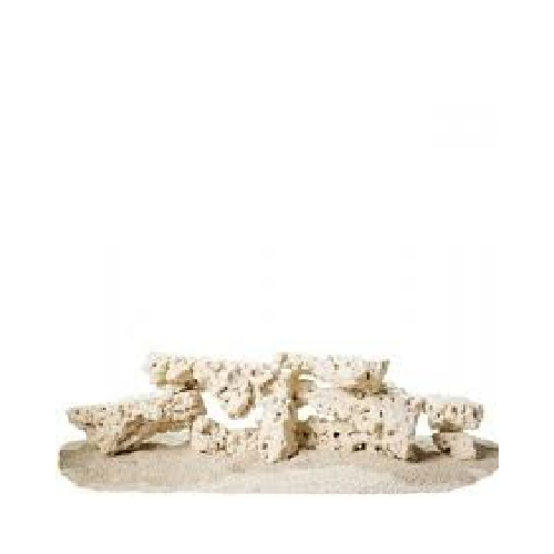 South Seas Shelf Rock - 18,14 kg - 1