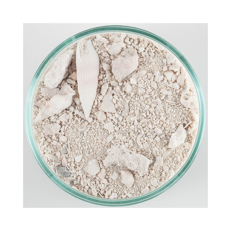 Ocean Direct Original Grade - 2