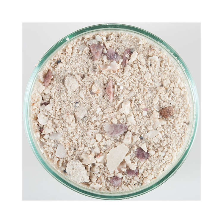 Aragalive Bimini Pink - 2