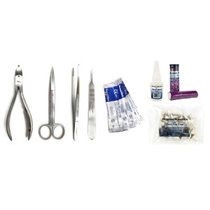 Kit de propagação de corais Premium - 1