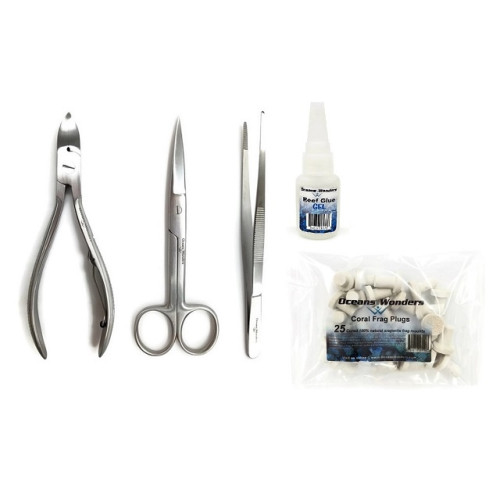 Kit de propagação de corais - 1