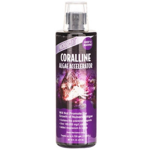 Coralline Algae Accelerator - 1