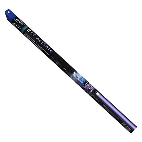 Tubos T5 Actinic - 1