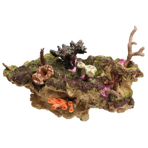 Coral Rack long - 3