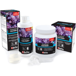 Foundation A Calcium + (Ca/Sr/Ba) - 1