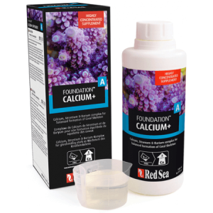 Foundation A Calcium + (Ca/Sr/Ba) - 1 2