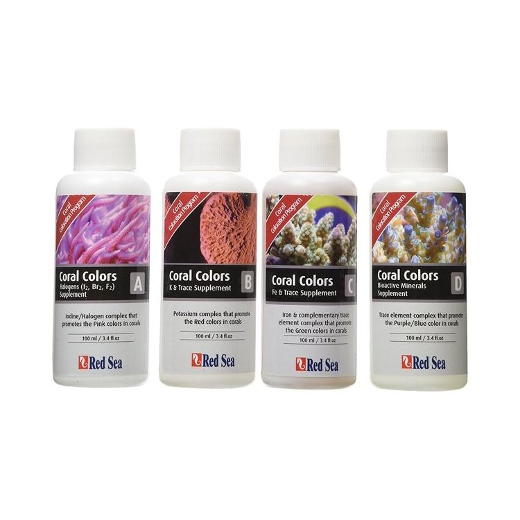 Trace-Colors A|B|C|D Suplemento - 2