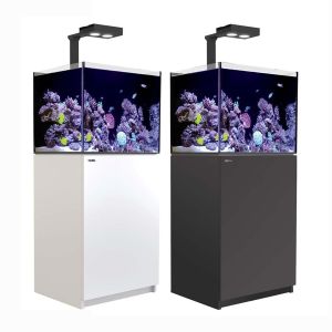 Reefer 170 Deluxe ( inclui 1 x Reef Led ) - 1