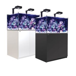 Reefer XL 300 Deluxe ( inclui 2 x Reef Led ) - 1