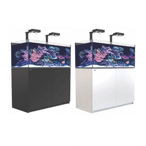 Reefer XL 425 Deluxe ( inclui 2 x Reef Led ) - 1