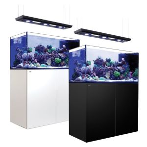 Reefer Peninsula 500 Deluxe ( inclui 3 x Reef Led ) - 1