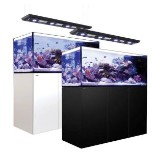 Reefer Peninsula 650 Deluxe ( inclui 4 x Reef Led ) - 1