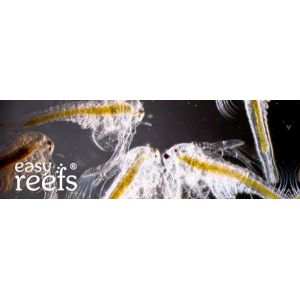 Easy reefs Artemia 15 gr - 1 2