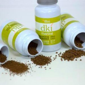 DKI Marine - 1 2