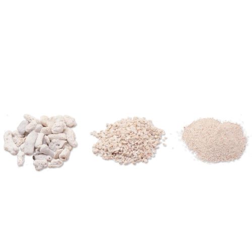 Coral Sand - 2