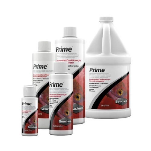 Prime - 1