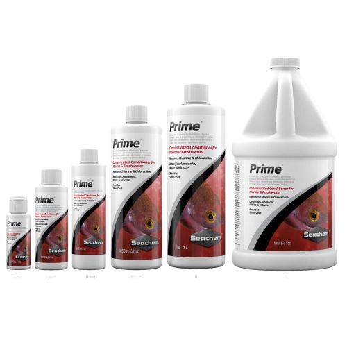 Prime - 2