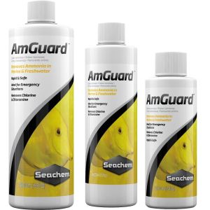 AmGuard - 1