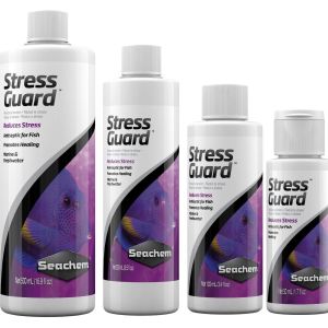 StressGuard - 1