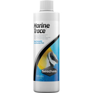 Marine Trace - 1
