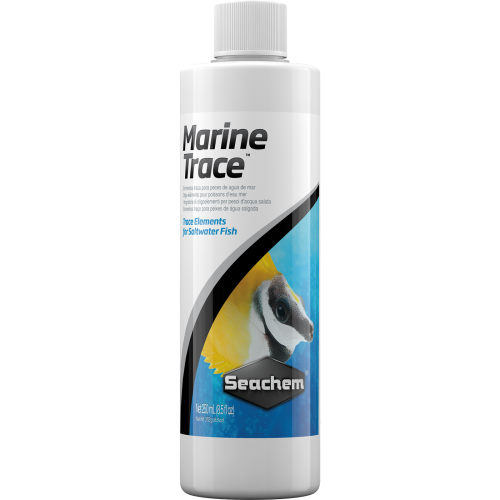 Marine Trace - 1