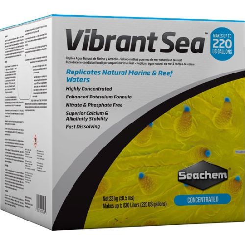 Vibrant Sea - 1