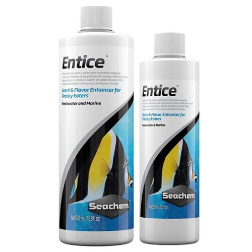 Entice 250 ml - 1