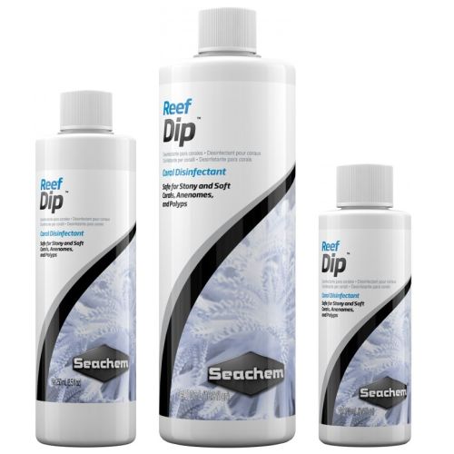 Reef Dip - 1
