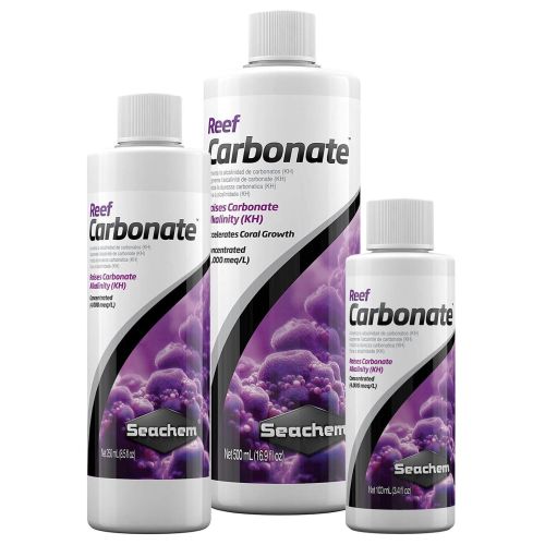 Reef Carbonate - 1