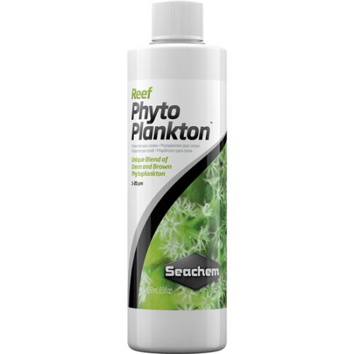 Reef Phytoplankton - 1