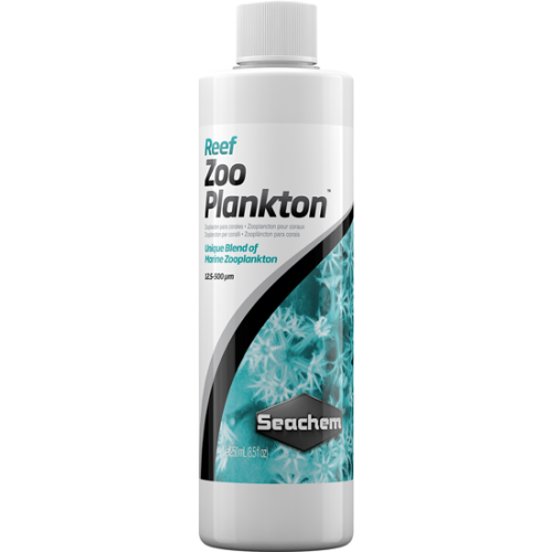 Reef Zooplankton - 1