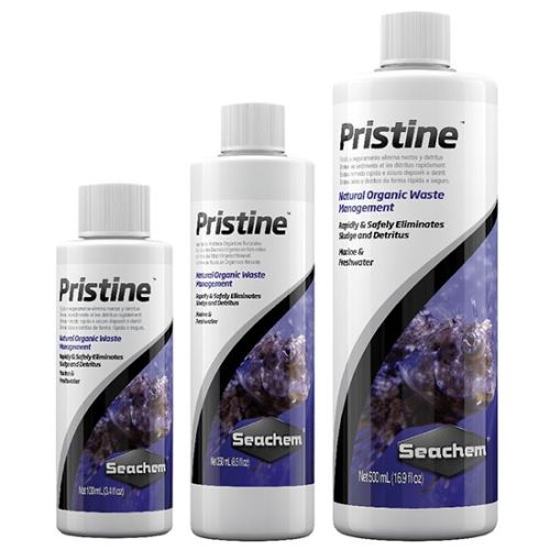Pristine - 1