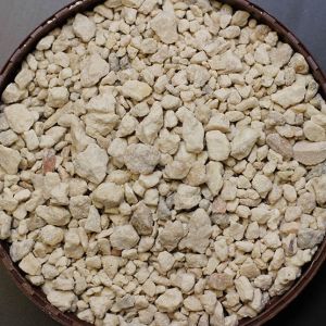 Reef Reactor Md - 1 2