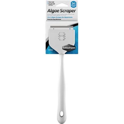 Algae Scraper - 1