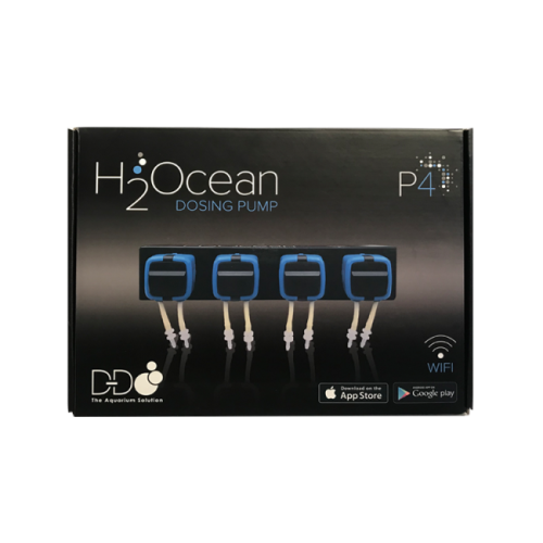 H2Ocean DDP4 - 1