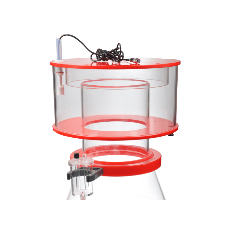 Skimmer Regal Externo - 4