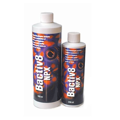 Bactiv8 NPX - 1