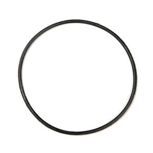 O-ring de reposição p/reator PhosBan - 1