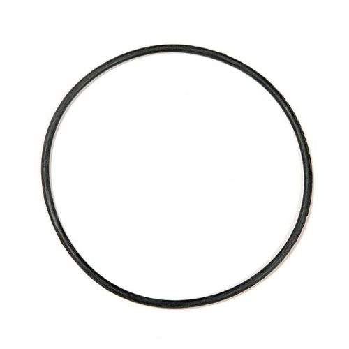 O-ring de reposição p/reator PhosBan - 1